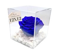 OneFlower by PREMIUM ROSE - Cubo Rosa Stabilizzata Blu 12 cm con Marmo di Carrara - Rosa Eterna Stabilizzata Made in Italy - Idea regalo pet tutte le occasioni - Blu 1021