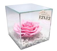 OneFlower by PREMIUM ROSE - Cubo Rosa Stabilizzata Rosa 12 cm Profumata con scglie di Marmo di Carrara - Eterne Stabilizzate,Idea per Natale festa regali Mamma Fidanzata Zia, Made in Italy - Rosa 1025