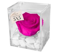 OneFlower by PREMIUM ROSE - Cubo Rosa Stabilizzata Rosa 5 cm con Marmo di Carrara - Rosa Eterna Stabilizzata Made in Italy - Idea per Chi Ama Colori Vivaci e Giovani Donne - Fucsia 1052