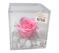OneFlower by PREMIUM-ROSE - Cubo Rosa Stabilizzata Rosa 6 cm con Marmo di Carrara - Rosa Eterna Stabilizzata Made in Italy - Idea per Chi Ama Colori Vivaci e Giovani Donne - Rosa A 1065