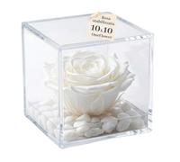 OneFlower by PremiumRose Cubo Rosa Stabilizzata Bianca Profumata da 10cm con Marmo di Carrara | Idea Regalo Mamma, Fidanzata, Amica, Idea Regalo per Compleanno, Laurea | Made in Italia (Bianco 1018)