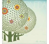 Oneida - The Wedding