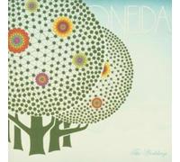 Oneida The Wedding Album