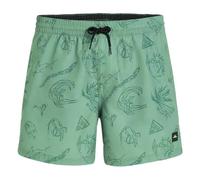 O'NEILL Costume da Bagno Verde Uomo Cali, verde, S