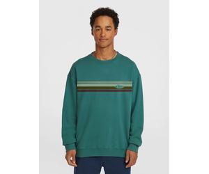 O'NEILL Felpa marrone / verde scuro Uomo O'NEILL XXL