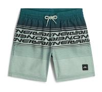 O'Neill - Kid's Logo Stripe Swimshorts - Pantaloncino da bagno 176 variopinto