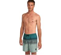 O´neill Logo Stripe 16´´ Swimming Shorts Blu L Uomo