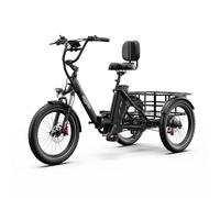 ONESPORT OT30 PRO Triciclo elettrico cargo con motore da 500 W e batte