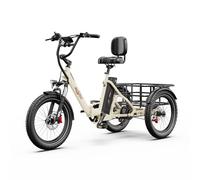 ONESPORT OT30 PRO Triciclo elettrico cargo con motore da 500 W e batte