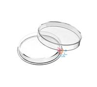 OnFireGuy High Relief 39mm Direct Fit 2oz Queen's Beast e 2oz Biblical