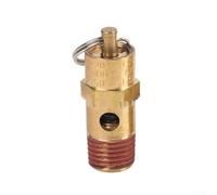 Oniissy Valvola di sicurezza per compressore d'aria NPT da 1/4" con valutazione di 125 PSI per uscita del serbatoio, struttura in ottone con molla in acciaio inossidabile, adatta per (125 PSI)