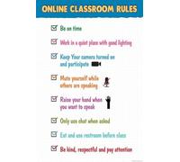 Online Classroom Rules Poster Virtual Learning Expectations Digital Classroom Decor for Teacher Remote Learning Homeschool Wall Art(Framed,16x24inch(40x60cm))