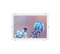 Online-GalleryKing Cornice a clip senza cornice 42x66 cm con vetro acrilico antiriflesso | Cornice portafoto | Foto | Poster | collage | cornice | Tutte le taglie