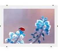 Online-GalleryKing Cornice a clip senza cornice 70x65 cm con vetro acrilico antiriflesso | Cornice portafoto | Foto | Poster | collage | cornice | Tutte le taglie