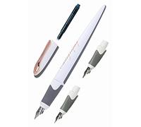 Online Set calligrafia Air White Rose I penna stilografica con cartuccia combinata e 3 molle con tratto 0,8/1,4/1,8 mm, set regalo per cartucce standard e convertitore