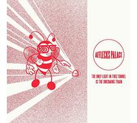 Afflecks Palace Only Light in This Tunnel Is the Oncoming Train/Vinyl (Vinyl LP)