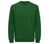 ONLY & SONS Onsconnor Reg Crew Neck Sweat Noos Maglia di Tuta, Giardino Formale, S Uomo
