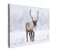 OnlyWow© Canvas per Esterno 70x50 cm Giardino Poster da Parete Decorazioni Accessori Decorazione Muro Murali Posters Moderne WallRenna - Corna - Tundra - Neve - Selvaggio