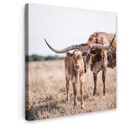 OnlyWow© Poster da Esterno 50x50 cm Giardino Decor Design Moderno Dipingere Tele Balcone Terrazzo Decorazione Muro MuraliTexas Longhorn - Vitello - Pascolo - Animali