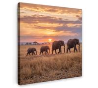 OnlyWow© Poster da Esterno 50x50 cm Giardino Decor Design Moderno Dipingere Tele Balcone Terrazzo Decorazione Muro MuraliElefanti - Savana - Tramonto - Africa - Caldo