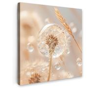 OnlyWow© Poster da Esterno 50x50 cm Giardino Decor Design Moderno Dipingere Tele Balcone Terrazzo Decorazione Muro Murali Dente di Leone - Acqua - Natura - Natura Morta - Moderno