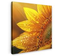 OnlyWow© Poster da Esterno 60x60 cm Giardino Decor Design Moderno Dipingere Tele Balcone Terrazzo Decorazione Muro Murali Girasole - Gocce di Rugiada - Giallo - Luce Solare