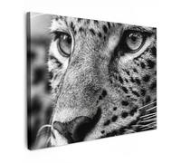 OnlyWow© Poster da Esterno 70x50 cm Giardino Canvas Balcone Parete Terrazzo Decorazione Murali Quadretti Accessori Telo Leopardo - Nero - Bianco - Occhio