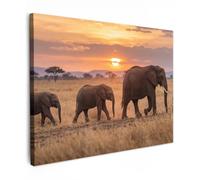 OnlyWow© Poster da Esterno 70x50 cm Giardino Decor Design Moderno Dipingere Tele Balcone Terrazzo Decorazione Muro MuraliElefanti - Savana - Tramonto - Africa - Caldo