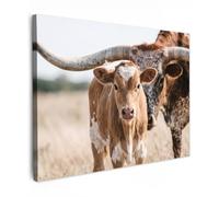 OnlyWow© Poster da Esterno 70x50 cm Giardino Decor Design Moderno Dipingere Tele Balcone Terrazzo Decorazione Muro MuraliTexas Longhorn - Vitello - Pascolo - Animali