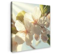 OnlyWow© Poster da Esterno Giardino Decor Design Moderno Dipingere Tele | 50x50 cm - Balcone Terrazzo Decorazione Muro Murali Fiori - Bianco - Raggi di sole - Petali