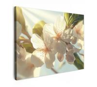 OnlyWow© Poster da Esterno Giardino Decor Design Moderno Dipingere Tele | 70x50 cm - Balcone Terrazzo Decorazione Muro Murali Fiori - Bianco - Raggi di sole - Petali