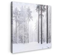 OnlyWow© Quadro da Giardino 60x60 cm Foto Stampe Quadretti Grandi Dimensioni Balcone Telo Terrazzo Pareti Dipinti MuraliForesta - Neve - Sentiero - Inverno - Silenzio