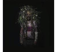 Onori Riccardo - Sonoristan