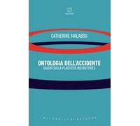 Ontologia dell'accidente. Saggio sulla plasticità distruttrice