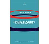 Ontologia dell'accidente. Saggio sulla plasticità distruttrice
