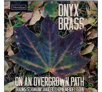 ONYX BRASS - ON AN OVER GROWN PATH