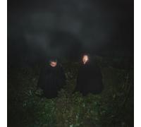 O'o Songs of Wishes and Bones (Vinyl LP) 12" Album