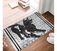 OOAXBEED Zerbino antiscivolo per cani, tappetino da cucina Cave Canem, Attenti al cane, Pompei, tappeto in mosaico latino, tappeto per porta d'ingresso, decorativo per interni