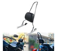 OOELAZ Schienale Passeggero Sissy Bar Staccabile per H&Arley Softail Standard - EFI FXSTI 2006