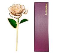 OOLA.DETAL Rose secche in oro placcato 24 K con scatola e supporto