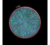 Opale blu bambino pietra preziosa schiacciata grossolana tutte le dimensioni ...