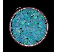 Opale blu bambino pietra preziosa schiacciata grossolana tutte le dimensioni ...