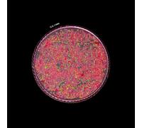 Opale rosso rosa schiacciato pietra preziosa grossa polvere tutte le dimensio...