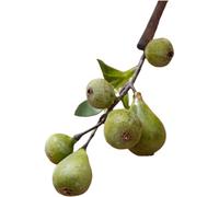 Opatiny Fiore di fico artificiale in schiuma per la decorazione di vasi di nozze, stile scandinavo, ramo di frutta finto con grande per fichi e foglie medio-piccoli, rosa, verde, rosso, giallo