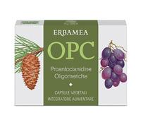 OPC 24CPS VEG S/GL 500MG ERBAMEA