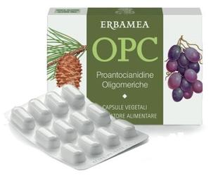 OPC 24CPS VEG S/GL 500MG ERBAMEA