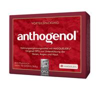 Opc masquelier anthogenol 90 capsule