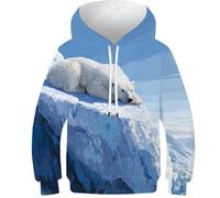 OPCALIS 3D Printed Bambini Felpa con Cappuccio Polar Bear Hoodie Pullover Manica Lunga Casual mit Tasche 10-12Y