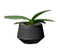 Opdestn Vasi per Orchidee - Contenitore,Doppio Strato Controllo Radicale Per Idrocoltura Sostegno Muschio Sfagno Fioritura Umidità