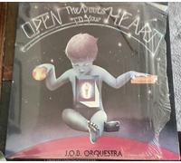 Open the doors to your heart (1978) / Vinyl record [Vinyl-LP]